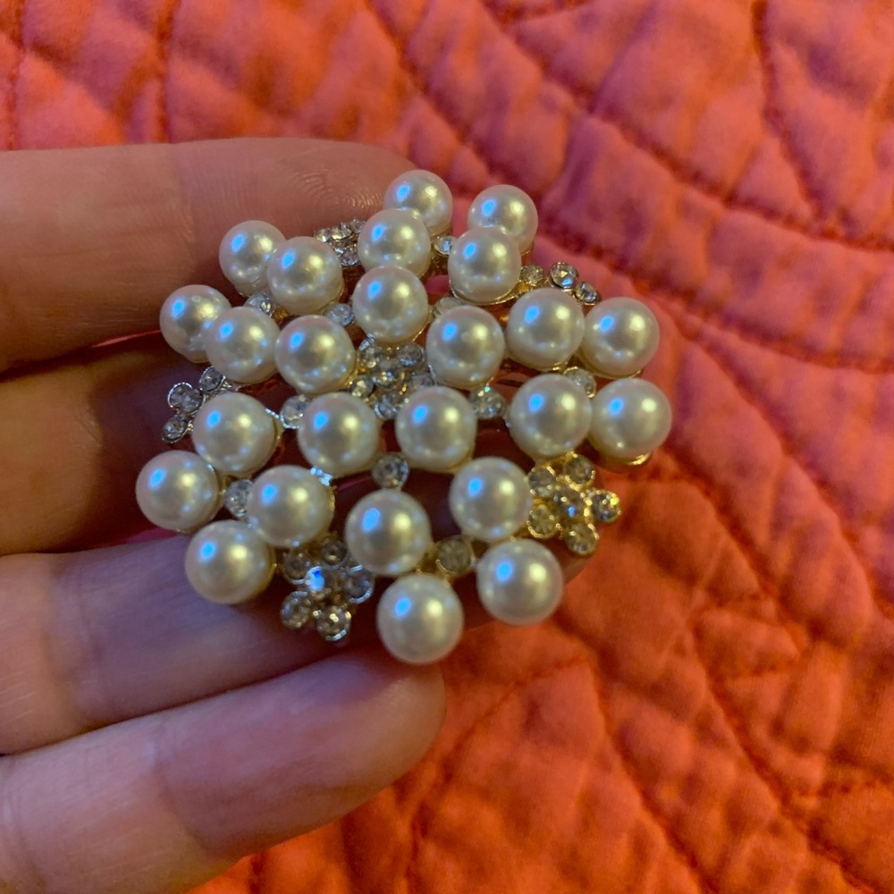 Costume jewelry broche/ pin